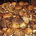 Funghi porcini freschissimi, appena raccolti nel bosco intorno al ristorante