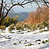 In Sicilia con la neve ...quando arriva, è uno spettacolo di colori travolgente